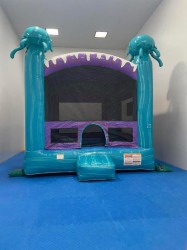 IMG 4945 1753501099 Electric Bounce