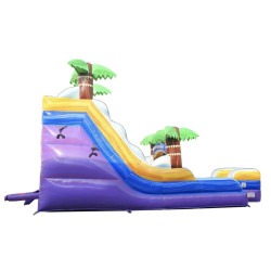 IMG 6898 1763398051 Purple Haze 15ft