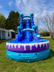 IMG 2082 1774525640 Electric Rush